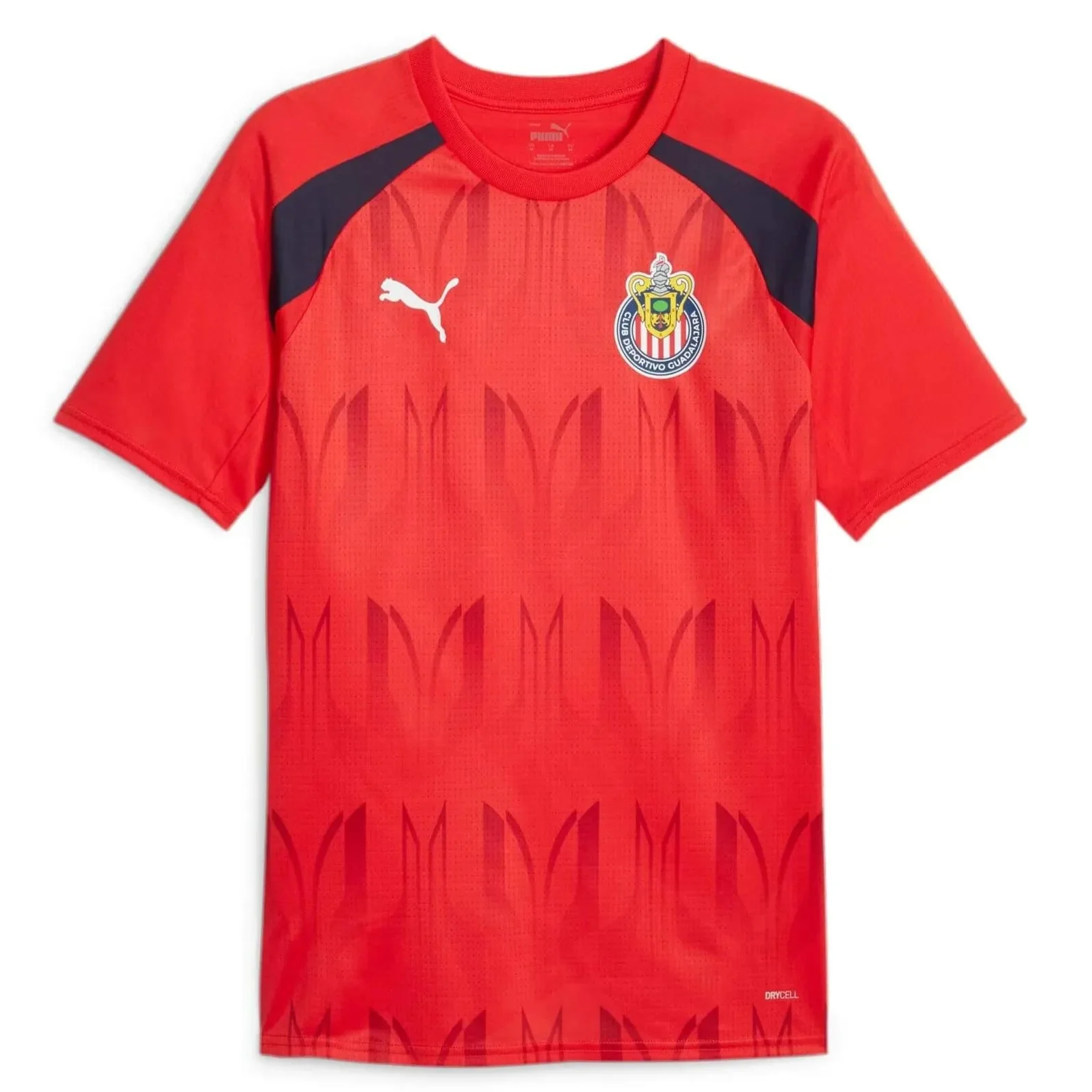 Puma 2023-24 Chivas Men's Pre-Match Jersey