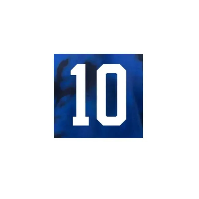 USA 2022-24 Away Pulisic #10 Jersey Name Set - Image 2